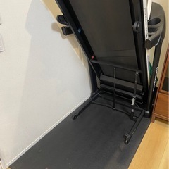 
HORIZON ADVENTURE 1 トレッドミルの画像