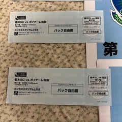 栃木SCVSガイナーレ鳥取　　3枚+駐車場の画像