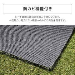 【新品未使用】人工芝 ロール 1m×5m アイリスオーヤマ リアル人工芝 防草人工芝 ゴルフ 庭 防草 人工芝生 人工芝マット バルコニー ガーデン RP-3015の画像