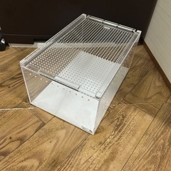 爬虫類　ゲージの画像