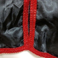 【2度のみ着用】ハロウィン　マントの画像