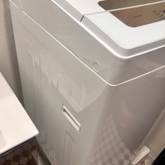 【アイリスオーヤマ 洗濯機 IAW-T502EN（2019年製）5kg】引き取り限定の画像