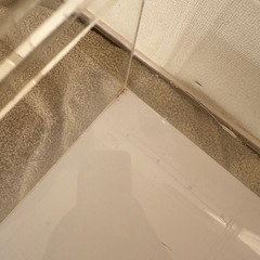 レプタイルボックスの画像