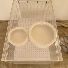 レプタイルボックスの画像