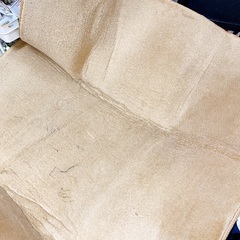 アイリスオーヤマ　もっちり極厚ラグ 遮音撥水 185x240の画像