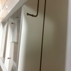 爬虫類アクリルケース棚の画像