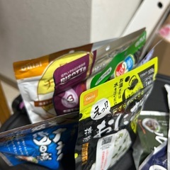 譲渡予定者決まりの画像