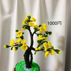 モールフラワー300円〜販売　　の画像