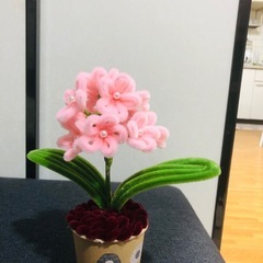 モールフラワー300円〜販売　　の画像