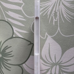 新作「西遊記・孫悟空」の画像