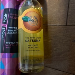 スタイリング剤、ボディーミストの画像