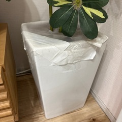 【差し上げます】フェイクグリーンの画像