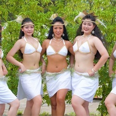 さいたま市見沼区.三郷市ポリネシアンダンス教室＊の画像