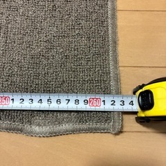 ニトリ NITORI ラグ カーペット（フレム）約178×263cm 防炎 【現金・ネット決済可】の画像