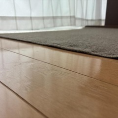 ニトリ NITORI ラグ カーペット（フレム）約178×263cm 防炎 【現金・ネット決済可】の画像