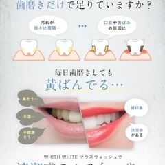 マウスウォッシュ 低刺激 口臭ケア 300mlの画像