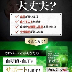 【高めの 血糖値 血圧 をWサポート】カロバーンα 30日分の画像