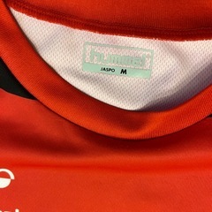 ツエーゲン金沢　hummel Zweigen Kanazawa レの画像