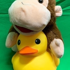 YouTubeチャンネルのMCを募集しています！