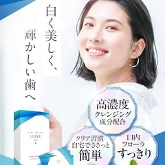 ルビーホワイト デンタルケア用クリーニングシート 28枚14セット分の画像