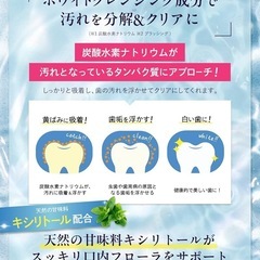 ルビーホワイト デンタルケア用クリーニングシート 28枚14セット分の画像