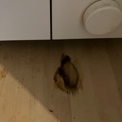 IKEA キッチンワゴンの画像