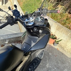PCX 125 JF56  キャリアボックス付きの画像