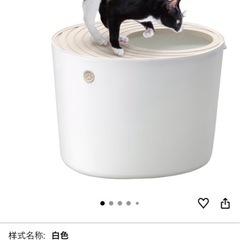 猫トイレの画像