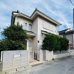 庭木 無料で差し上げます｜自分で掘り取りできる方の画像