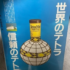 新熱帯魚入門　本の画像