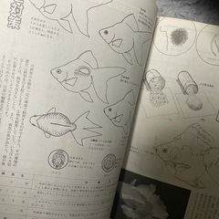 新熱帯魚入門　本の画像