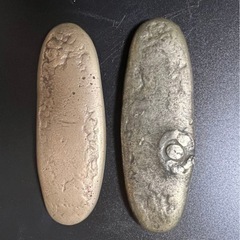 天保丁銀 古銭 レトロ ビンテージ 2本 155g 113gの画像