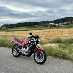 スズキGF250s の画像