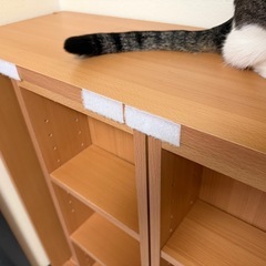 アイリスオーヤマ　コミックラックの画像