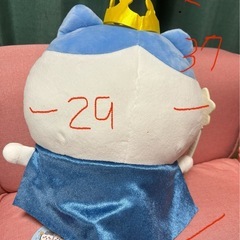 ハチワレぬいぐるみ
の画像