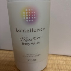 【受け取り先決まりました】hirituのシャンプーとトリートメントと肌に合わなかったボディーソープの画像