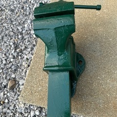 バイス100の画像