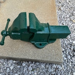 バイス100の画像