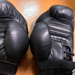 渭水　徳大式グローブ　日本拳法用の画像