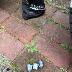 ブリザック　　スタッドレスタイヤ　　4ほん4本の画像