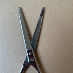 シザー【髪切りハサミ】の画像