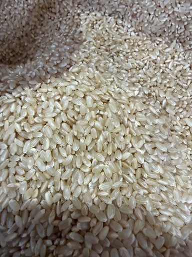 令和7年産新米残り僅か