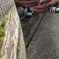 30アルファード リアバンパー
の画像