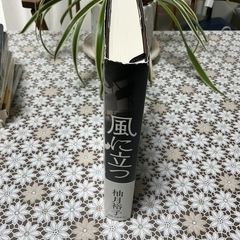 「風に立つ」著者　柚木裕子の画像