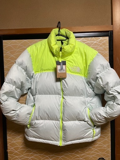 スキー THE NORTH FACE