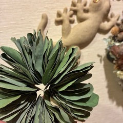 リース　ユーカリ
ポポラスの画像