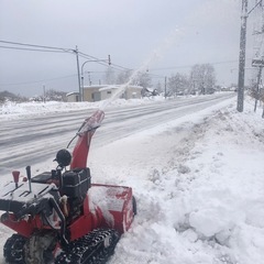 ヤナセ88HSTの画像