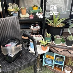 当時物レア　シンプソンヘルメットRX8の画像