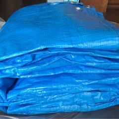 ☆購入者決定☆ブルーシートの画像