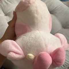 ⑭ｦﾀ活卒業🪽 ｻﾝﾘｵぬいぐるみの画像